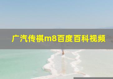 广汽传祺m8百度百科视频