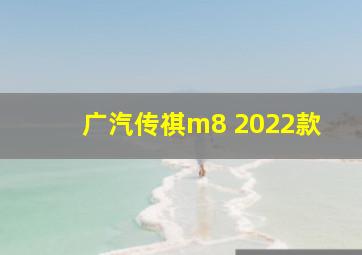 广汽传祺m8 2022款