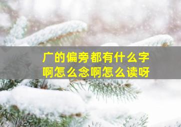 广的偏旁都有什么字啊怎么念啊怎么读呀