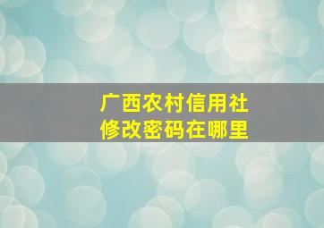 广西农村信用社修改密码在哪里