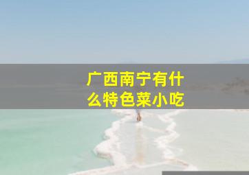 广西南宁有什么特色菜小吃