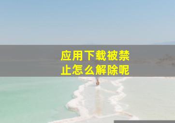 应用下载被禁止怎么解除呢