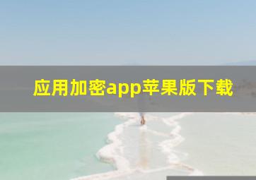 应用加密app苹果版下载