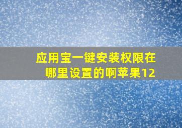 应用宝一键安装权限在哪里设置的啊苹果12