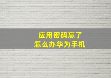 应用密码忘了怎么办华为手机