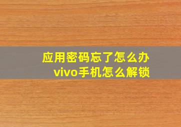 应用密码忘了怎么办vivo手机怎么解锁