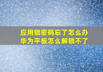 应用锁密码忘了怎么办华为平板怎么解锁不了