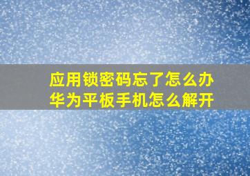 应用锁密码忘了怎么办华为平板手机怎么解开