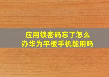 应用锁密码忘了怎么办华为平板手机能用吗