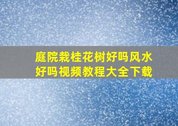 庭院栽桂花树好吗风水好吗视频教程大全下载