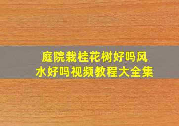 庭院栽桂花树好吗风水好吗视频教程大全集