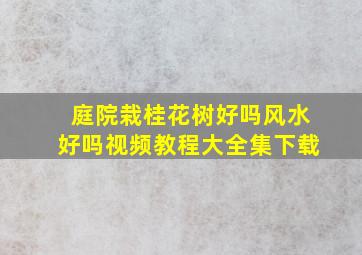 庭院栽桂花树好吗风水好吗视频教程大全集下载