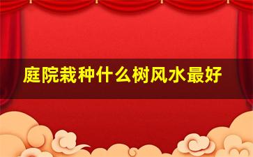 庭院栽种什么树风水最好