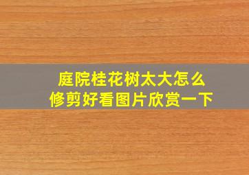 庭院桂花树太大怎么修剪好看图片欣赏一下