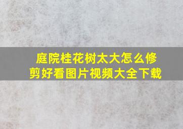 庭院桂花树太大怎么修剪好看图片视频大全下载