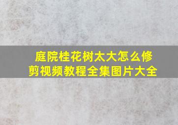 庭院桂花树太大怎么修剪视频教程全集图片大全