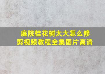 庭院桂花树太大怎么修剪视频教程全集图片高清