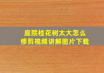 庭院桂花树太大怎么修剪视频讲解图片下载