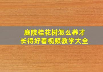 庭院桂花树怎么养才长得好看视频教学大全