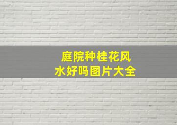 庭院种桂花风水好吗图片大全