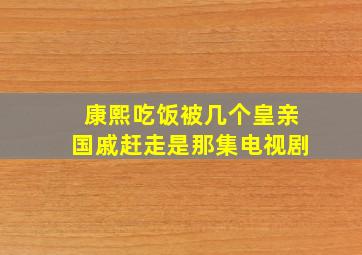 康熙吃饭被几个皇亲国戚赶走是那集电视剧