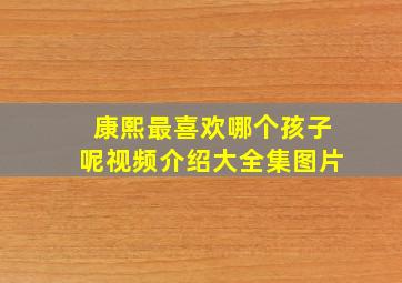 康熙最喜欢哪个孩子呢视频介绍大全集图片