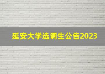 延安大学选调生公告2023