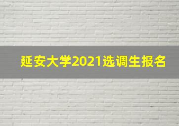 延安大学2021选调生报名