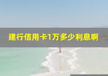 建行信用卡1万多少利息啊