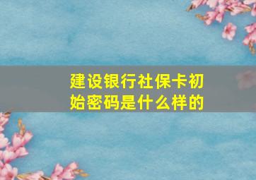 建设银行社保卡初始密码是什么样的