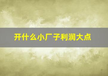 开什么小厂子利润大点