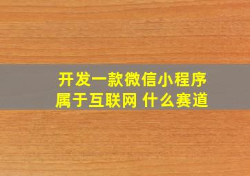 开发一款微信小程序属于互联网+什么赛道