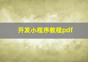 开发小程序教程pdf