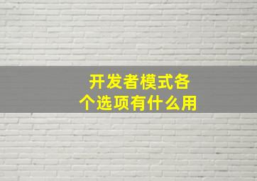 开发者模式各个选项有什么用