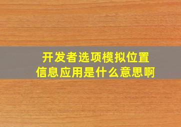 开发者选项模拟位置信息应用是什么意思啊