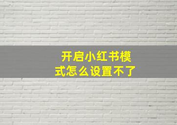 开启小红书模式怎么设置不了