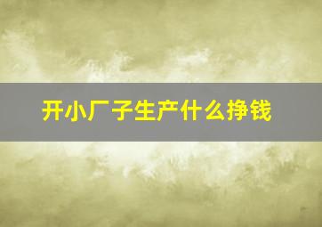 开小厂子生产什么挣钱