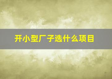 开小型厂子选什么项目