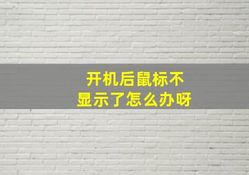 开机后鼠标不显示了怎么办呀