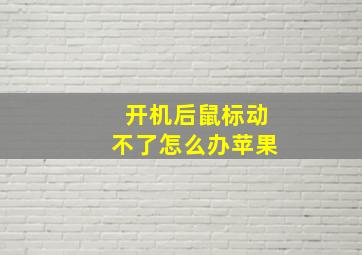 开机后鼠标动不了怎么办苹果