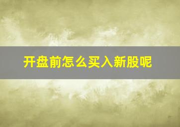 开盘前怎么买入新股呢