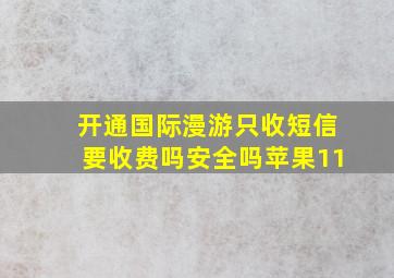 开通国际漫游只收短信要收费吗安全吗苹果11