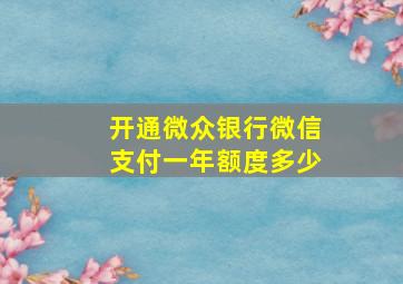 开通微众银行微信支付一年额度多少