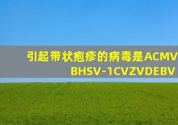 引起带状疱疹的病毒是ACMVBHSV-1CVZVDEBV