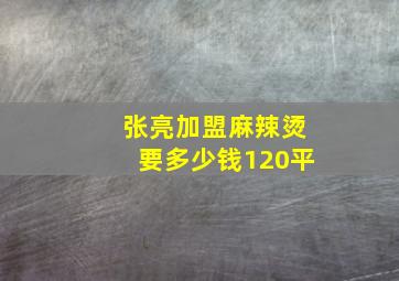 张亮加盟麻辣烫要多少钱120平