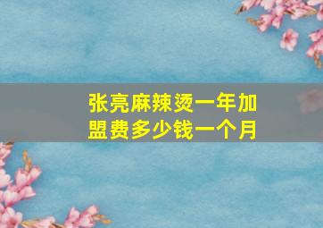 张亮麻辣烫一年加盟费多少钱一个月