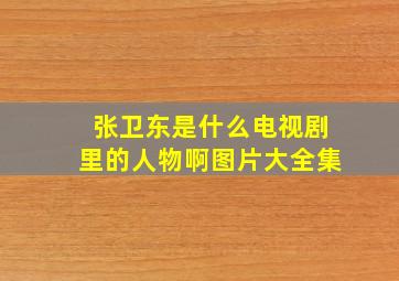 张卫东是什么电视剧里的人物啊图片大全集