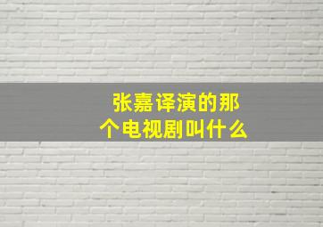 张嘉译演的那个电视剧叫什么