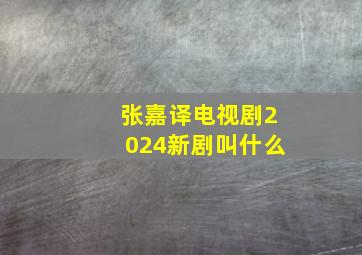 张嘉译电视剧2024新剧叫什么