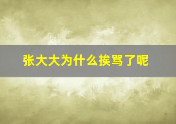 张大大为什么挨骂了呢